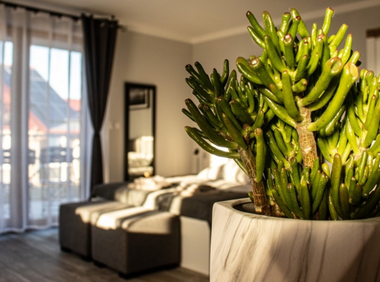 Willa Alexandra ?v=1.0